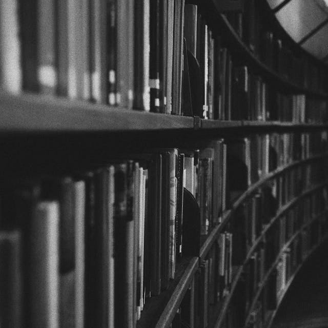 pexels-olenkabohovyk-3646105 (1).jpg