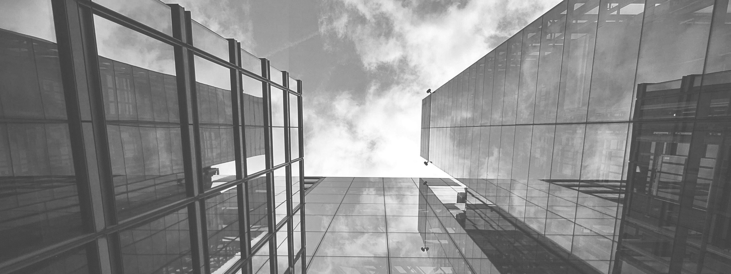Business Process Management System